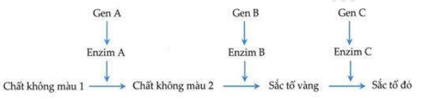 Đề Thi Thử Tốt Nghiệp Năm 2023 Môn Sinh Online-Đề 8